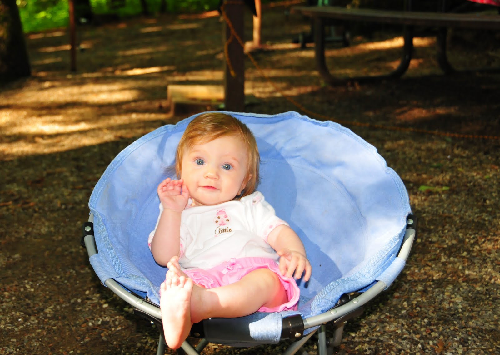 Ripley Anne Riegert
