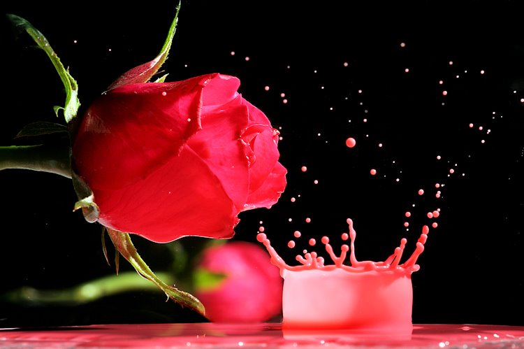 [ATgAAABQWNsPvy4MejCUpaVfA_V3aRaFYA61gTAoGXh5plRUBgwvsJC907ZYtR6jRIQVohkkIN0FyFQGuJCBPof5hTCqAJtU9VDanS33Yji0JH56g-keQe4XIlfOow.jpg]