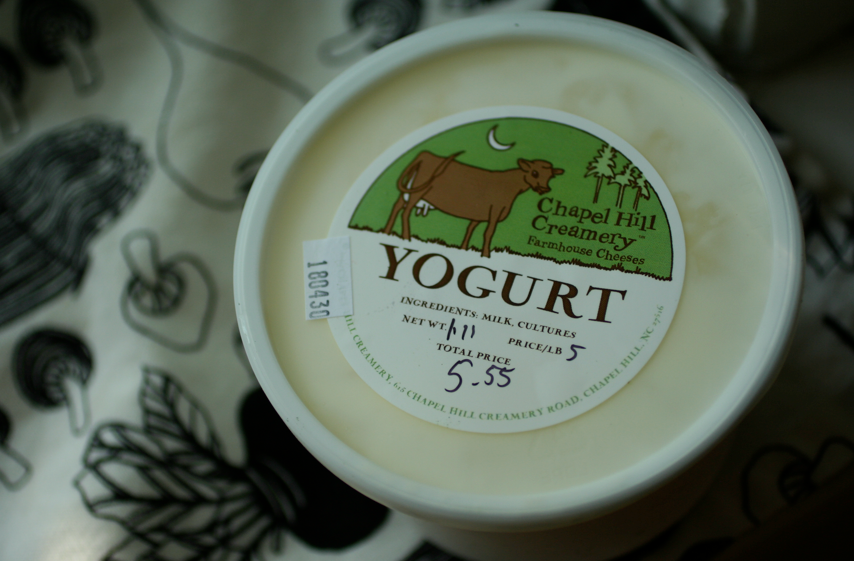 Adrienneats Why is yogurt good for me?