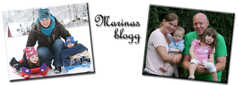 Marinas blogg