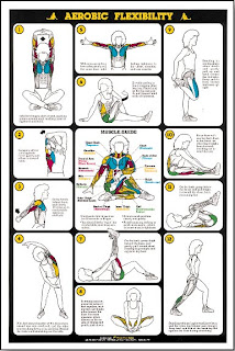 fitness, flexibility, stretch, anatomy