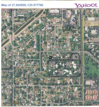 Even the Trees Speak the Truth!