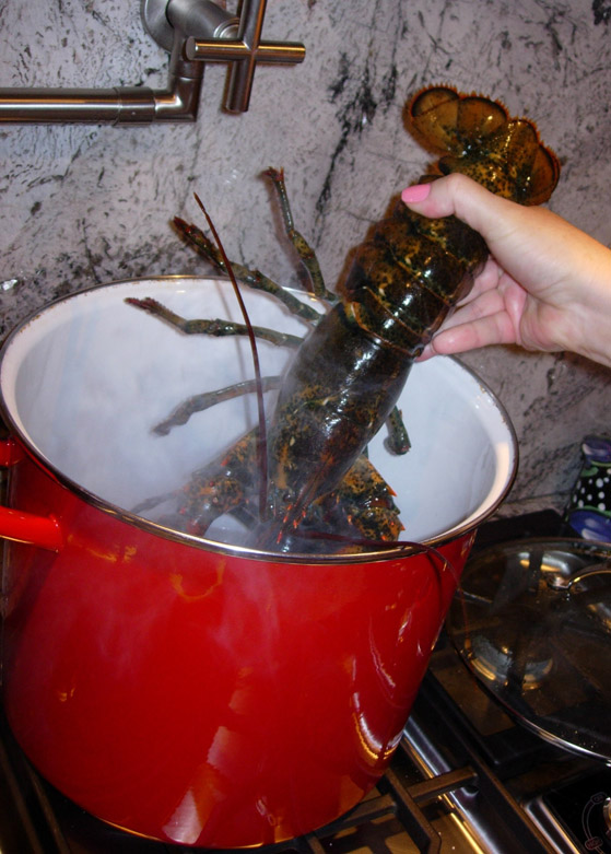 100 Things To Eat Before You Die 100 Things To Eat Before You Die