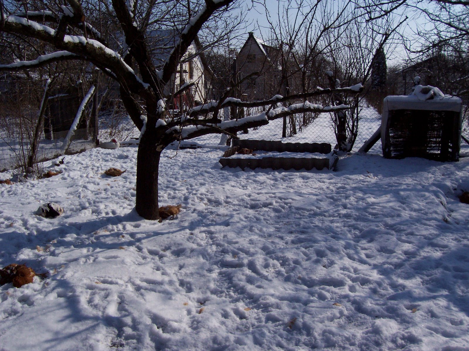 [000_0356.jpg]