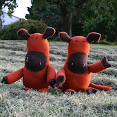 Red Angus Cows