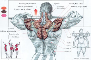 TRAPEZIO2.jpg