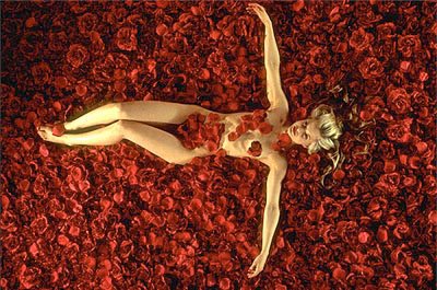 [Beleza+Amaricana+M.S..jpg]