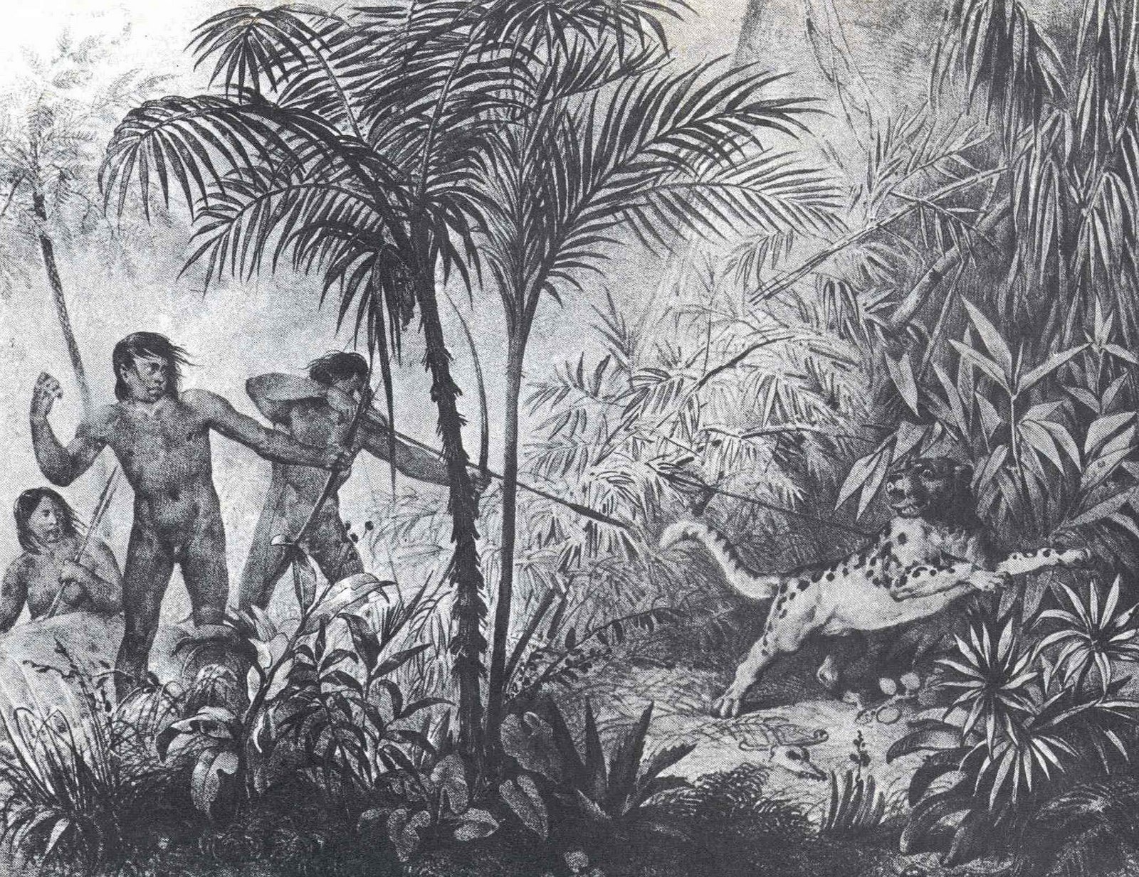 [Rugendas+-+Caça+a+Onça.jpg]