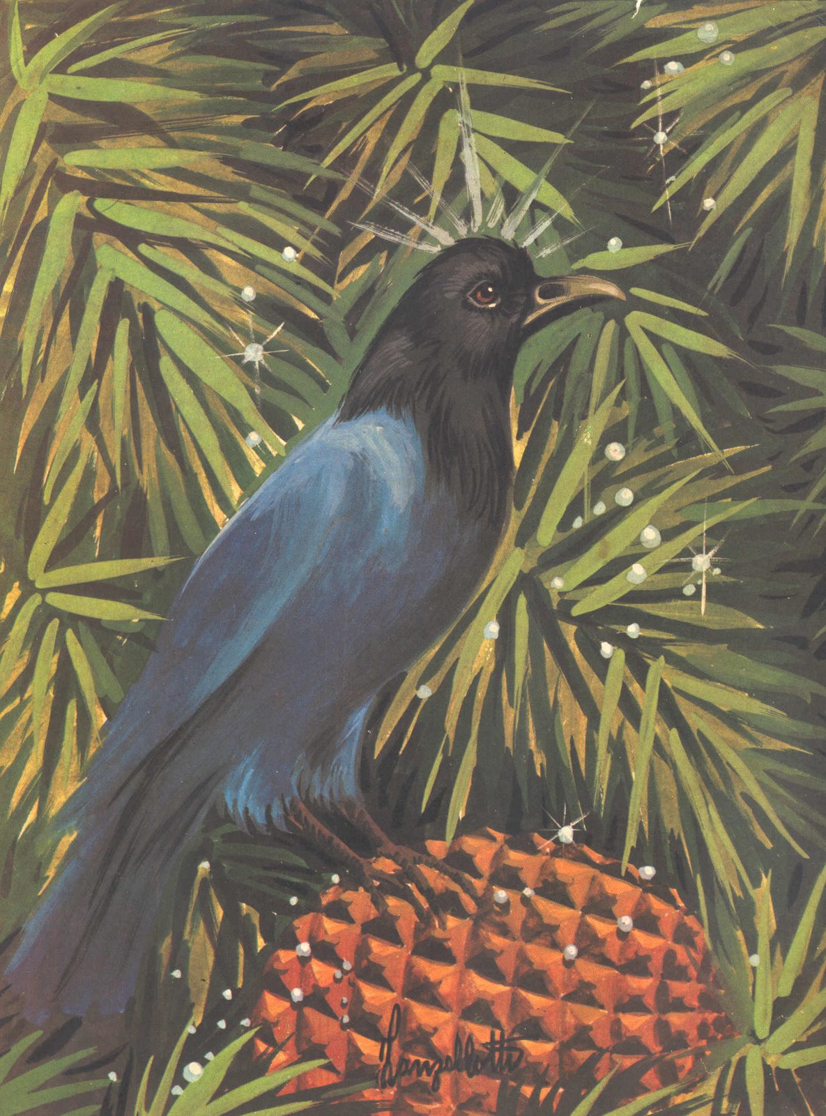 [Lendas+-+A+Gralha+Azul.jpg]