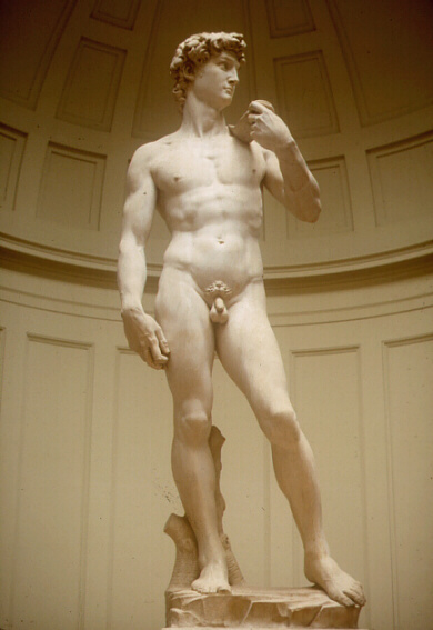 [David+-+Michelangelo.jpg]