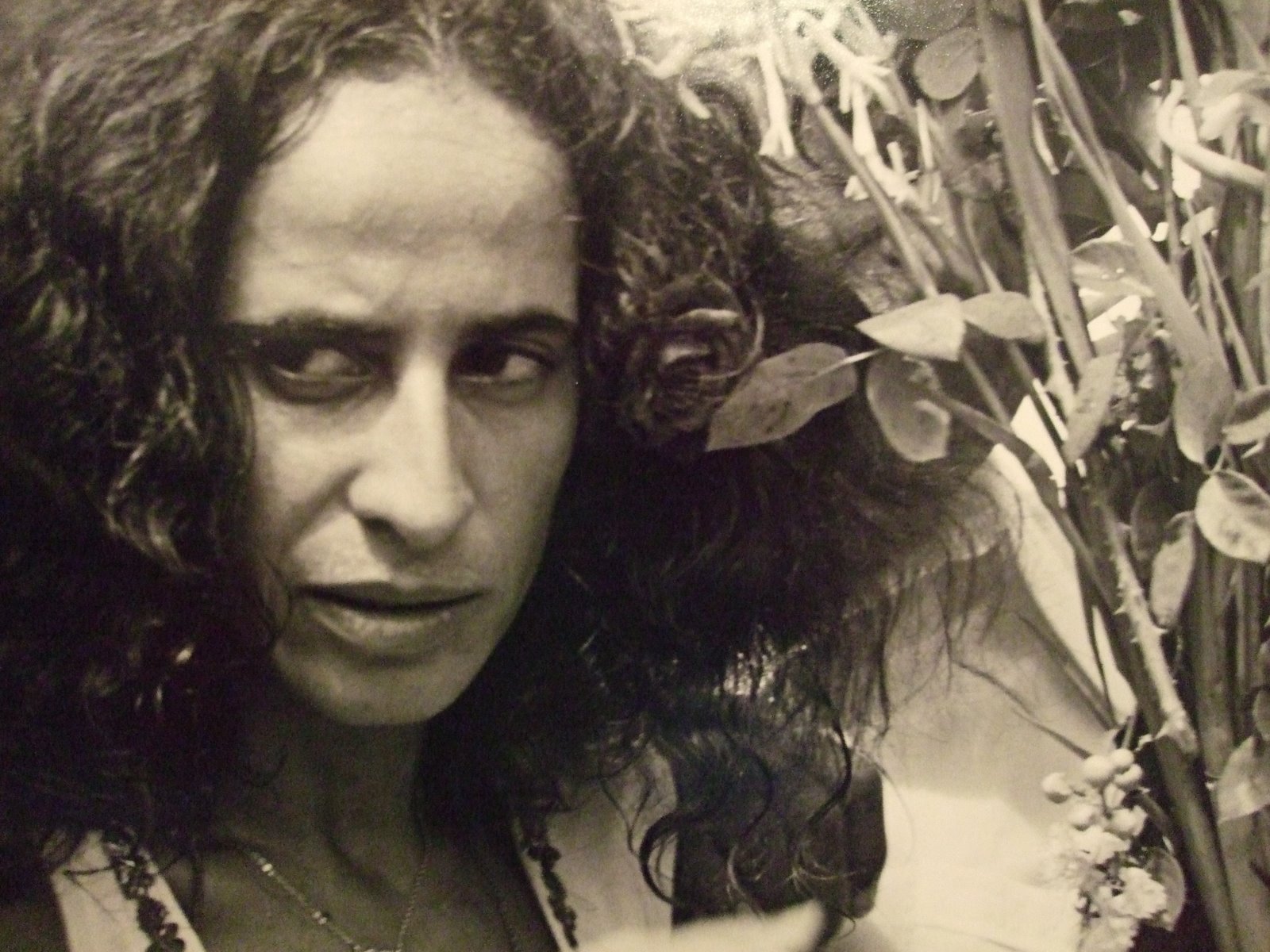 [Álibi+-+Maria+Bethania+4.jpg]