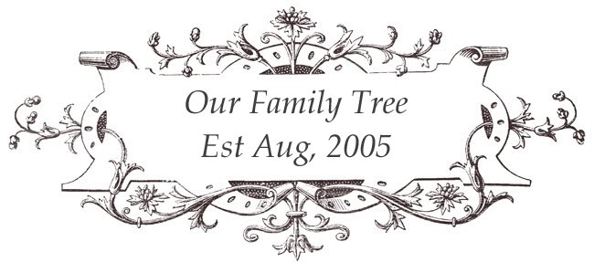 Our Family Tree