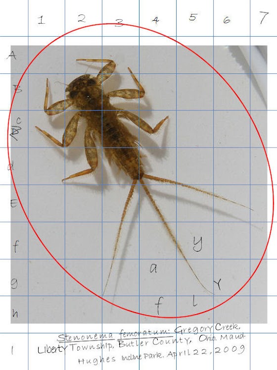 It's National Captain Samuel Brady Month! This month! That is, October!