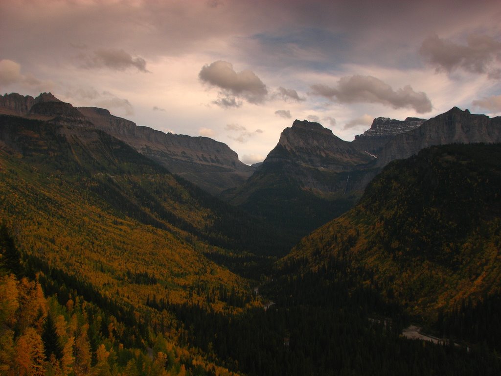 [mountains_trees_dark.jpg]