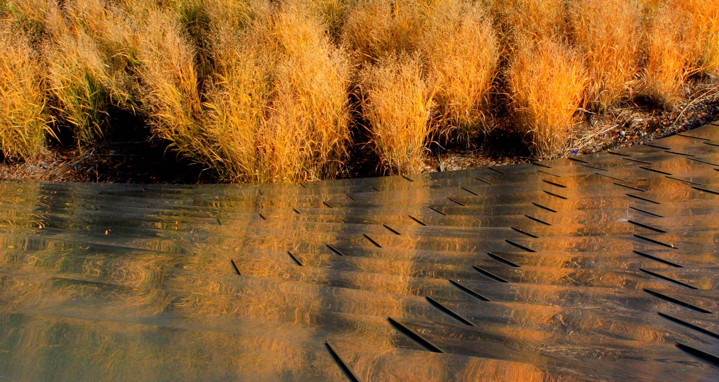 [footbridge_grass.jpg]