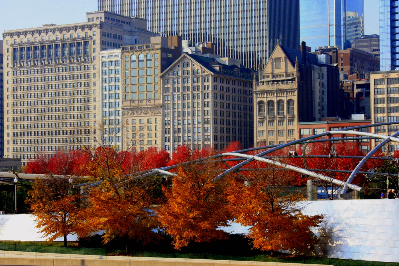 [Chicago_millenium_park.jpg]