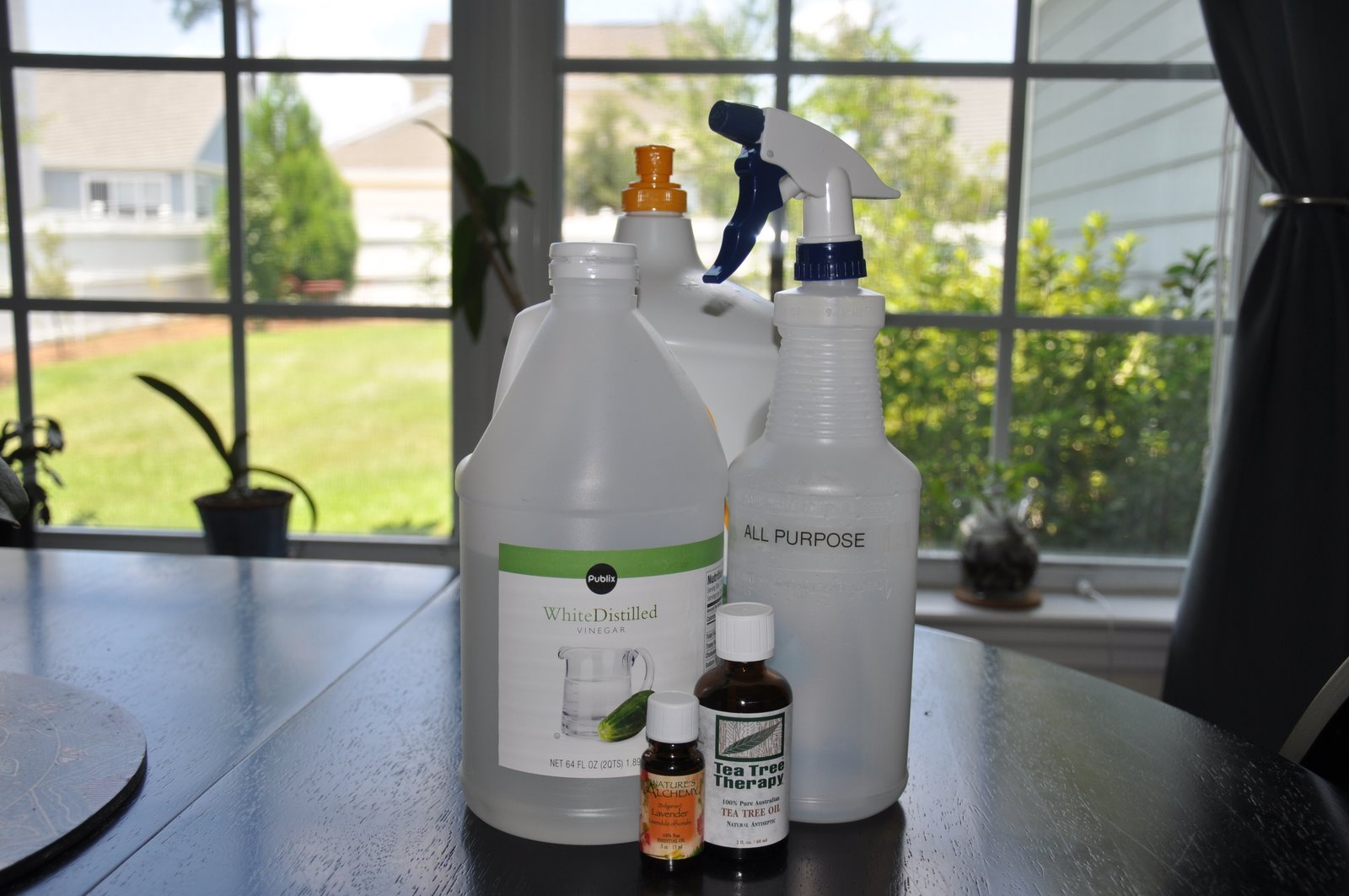 MAB TEST Homemade All Purpose Spray Cleaner
