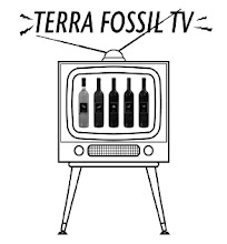 Terra Fossil TV