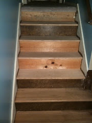 Replacing the Steps - Treads, Risers, and carpet