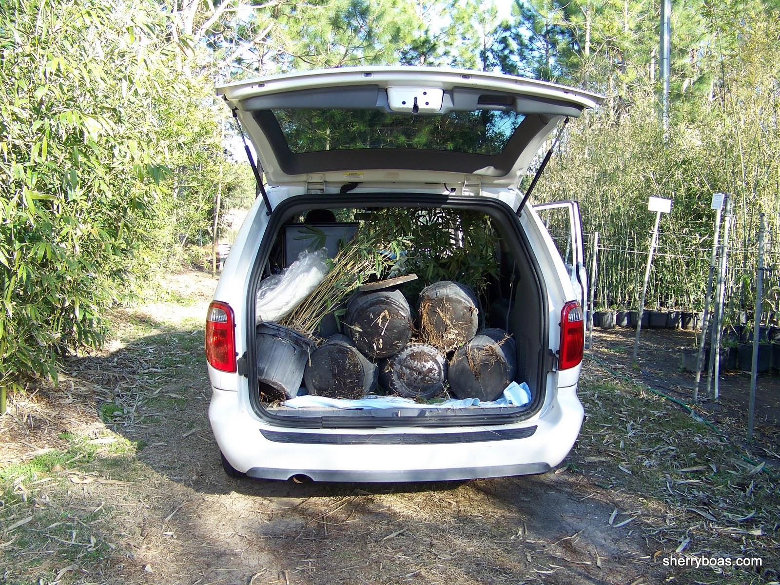 [filling+van+w+boo+002.jpg]