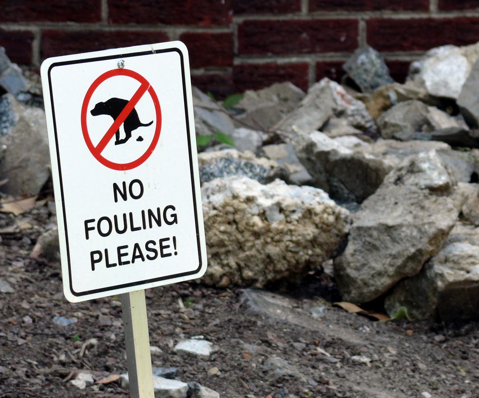 All Life Is Local Is It OK To Put Your Dog's Poop in Somebody Else's Supercan?