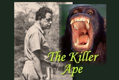 THE KILLER APE