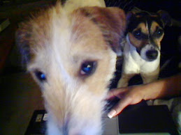 Brax and Colt