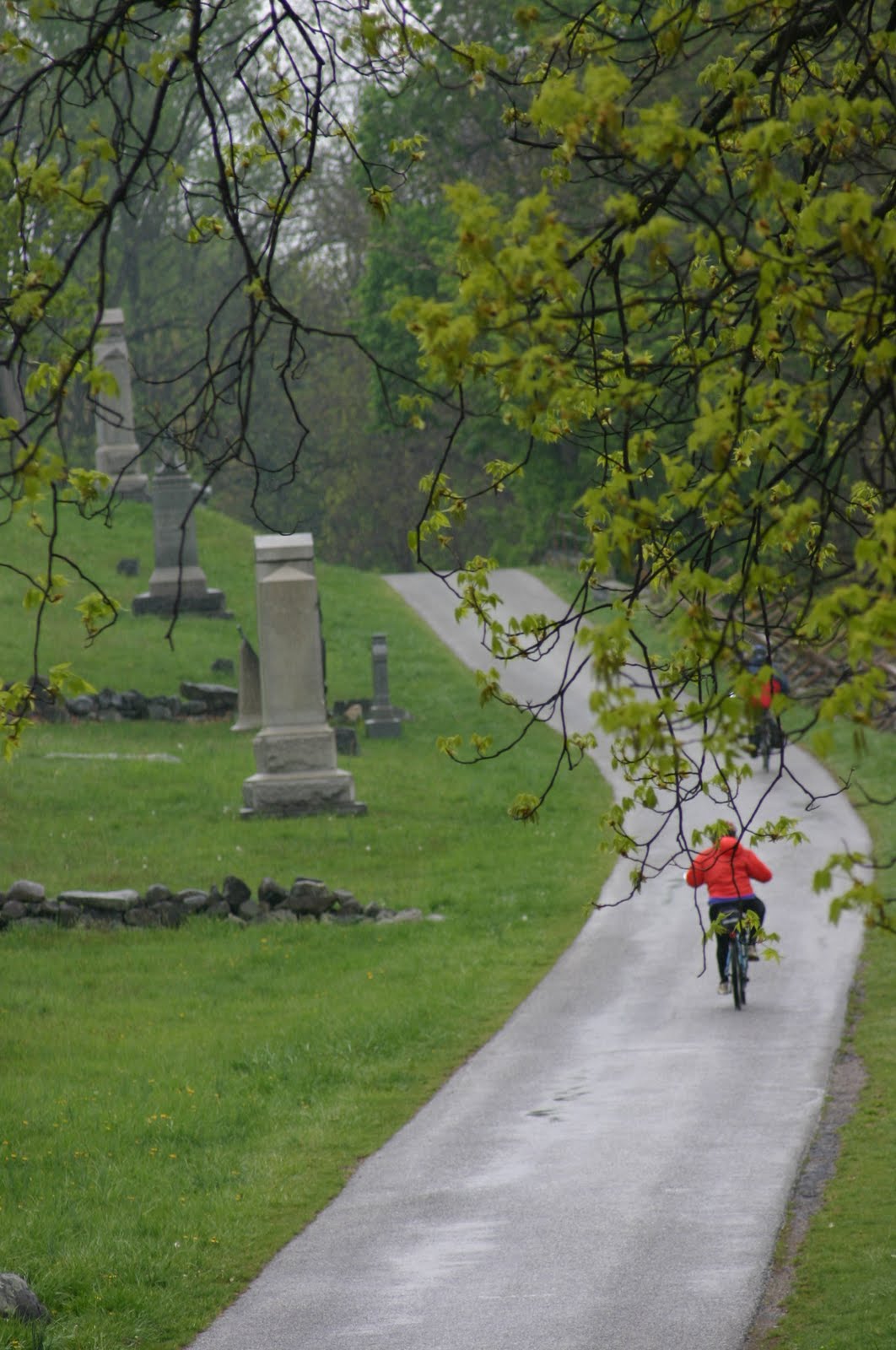 More Yarn for Me!: Gettysburg in Spring: Photographs of Nature, Roads ...