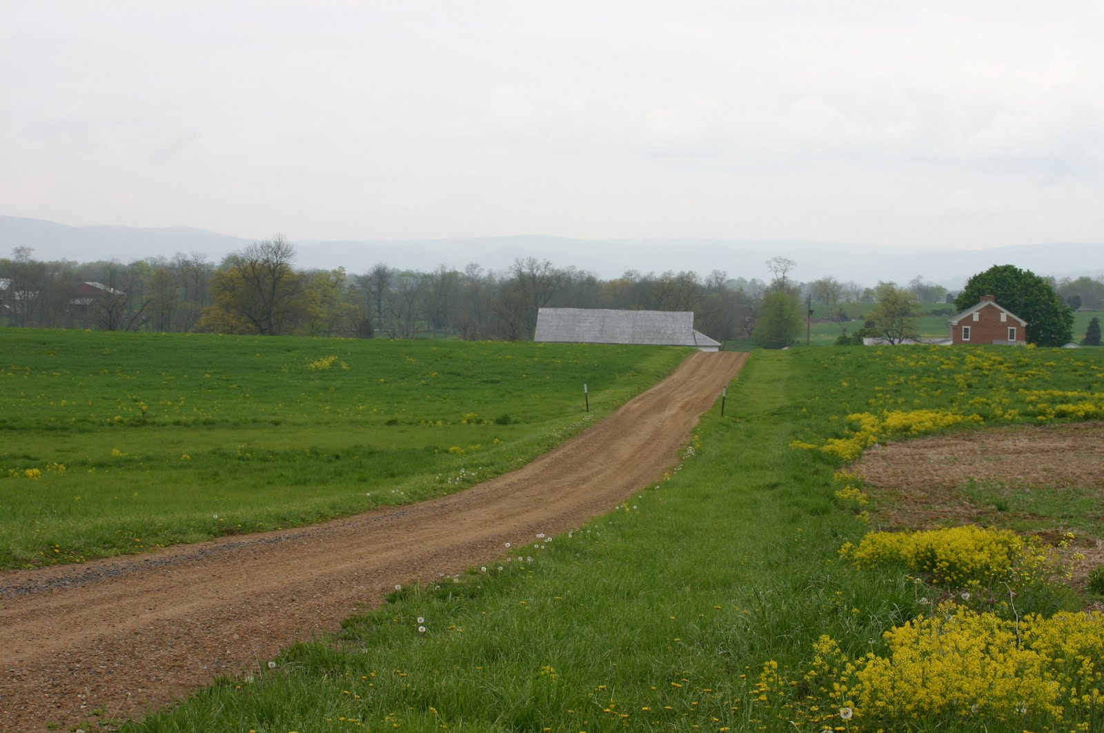 More Yarn for Me!: Gettysburg in Spring: Photographs of Nature, Roads ...