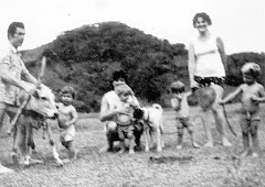 OTÁVIO NARDELLI DOMANDO A NOVILHA