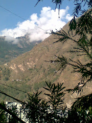 MY HOME-TOWN