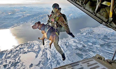 Austrian version of HALO insertion with dog