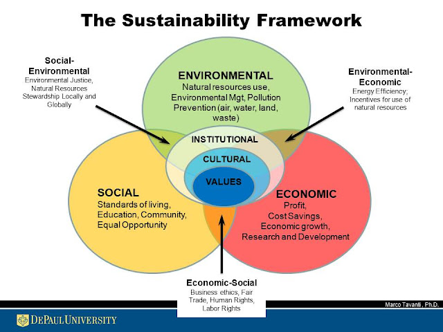 Factors to be taken into account when analyzing sustainability