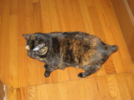 Taffy Wishes Camille a Happy Life!