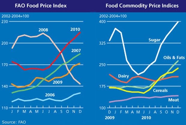 Global food prices. Food prices at the moment. Food prices at the moment. Акции space x. Индекс цен на продовольствие 2022-2024.
