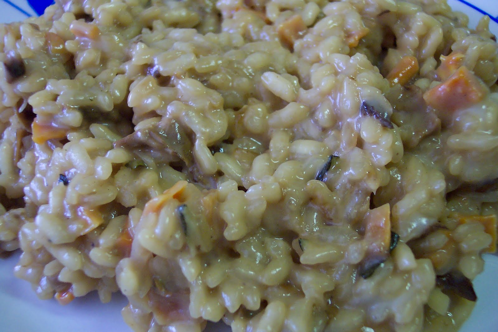 A mí me gusta comer Risotto d'hongos Trevijano