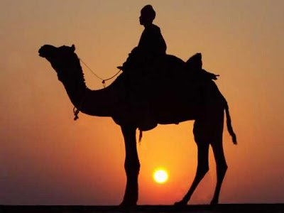 https://1.bp.blogspot.com/_gF9_yZQPwcU/SPplc46hrzI/AAAAAAAAAFg/XsZ487fvT9U/s400/camel2.jpg