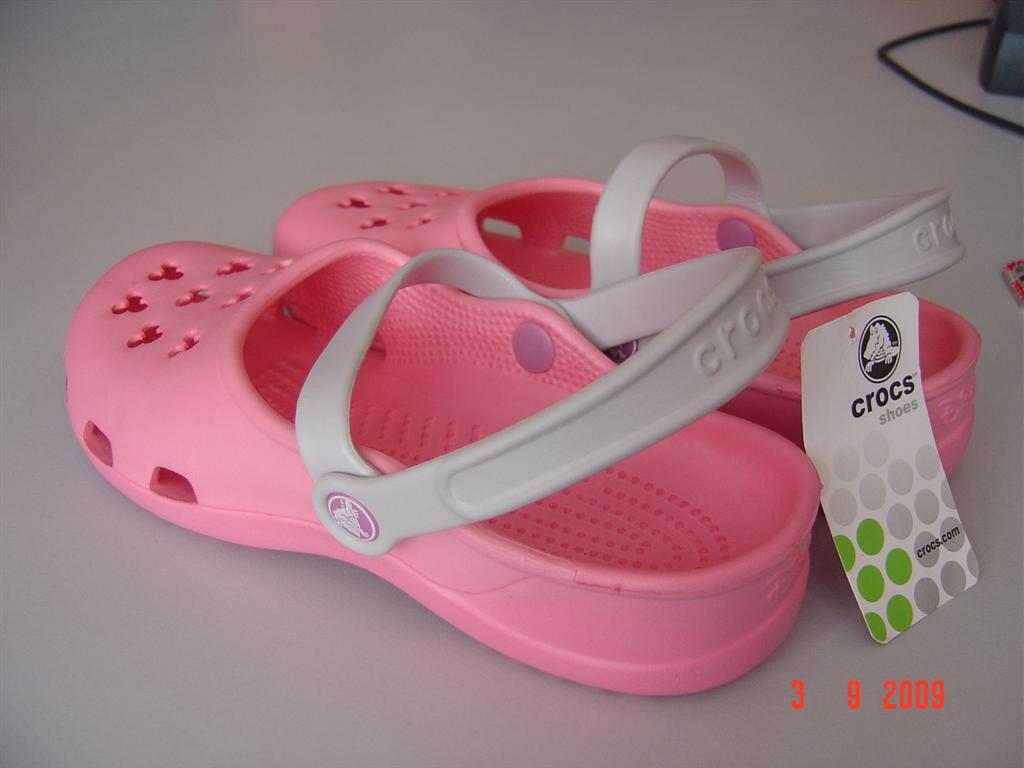 [DSC03480+(Large).JPG]