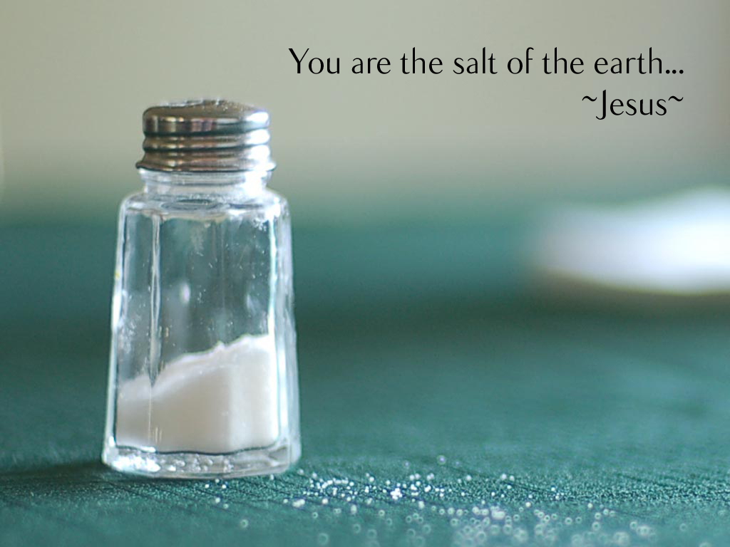 andy at faith You are the salt of the earth...