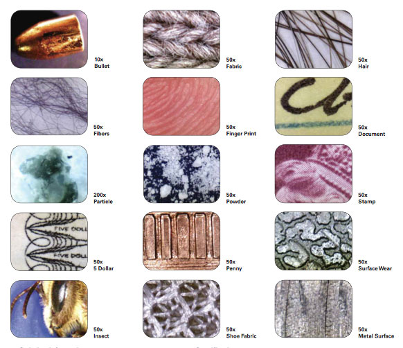 [ProScope-USB-Microscope-At-50X.jpg]