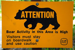 Bear Warning Sign at Liard Hot Springs Walkway