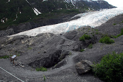 Exit Glacier and Path Leading Up to It