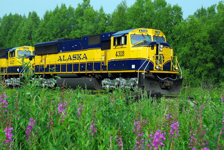 The Alaskan Railroad Train Stops at Talkeetna