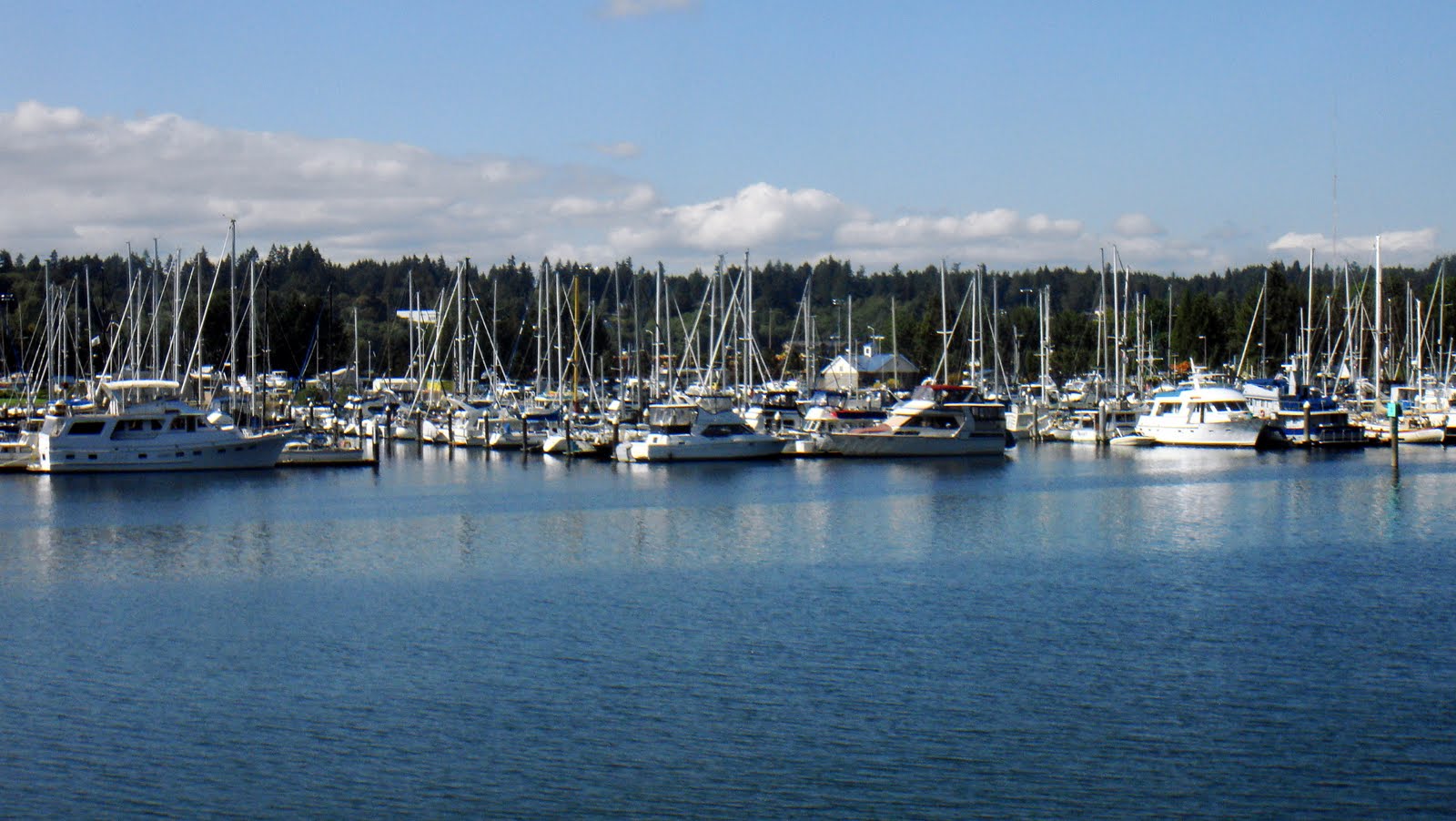 Olympia,+Washington+2009+019.JPG (image)