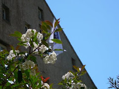 L'université Corse à Corté