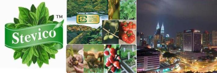 Stevico Direct Malaysia  Klang