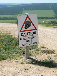 The Best Eleven: World Cup 2010 Team Group Stage Travel Distances