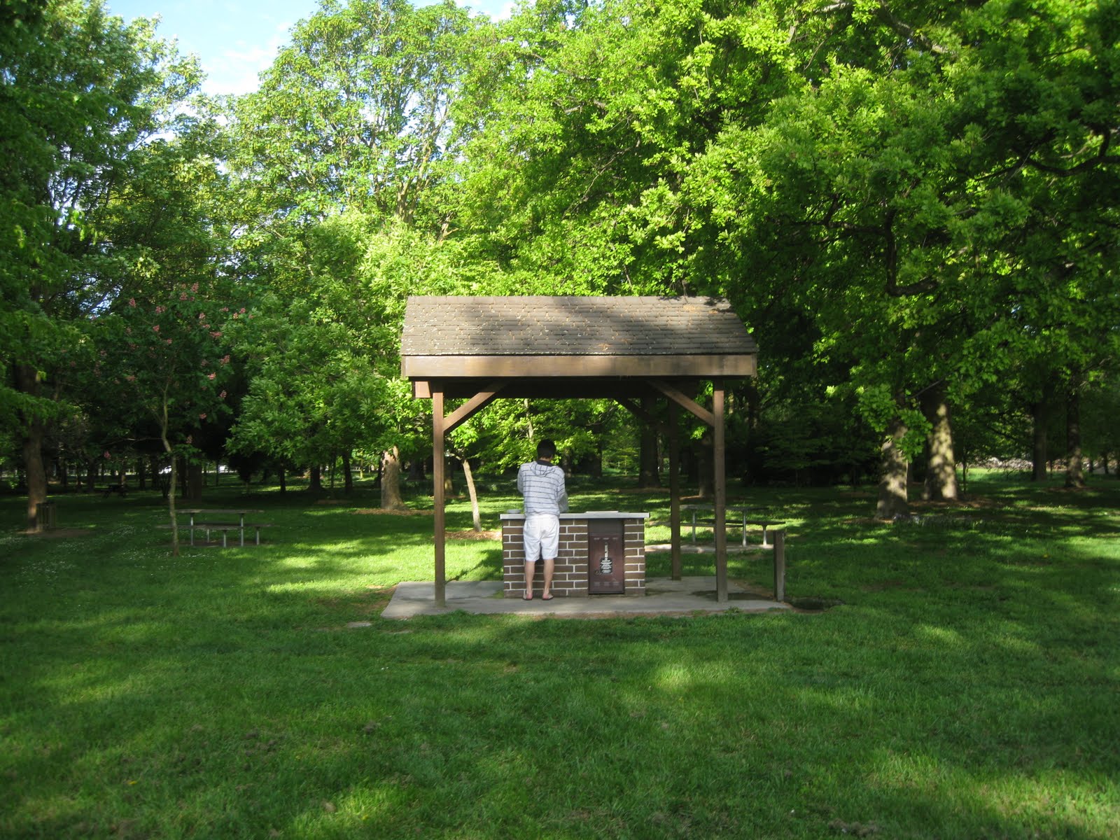 Stover In New Zealand BBQ in The Park