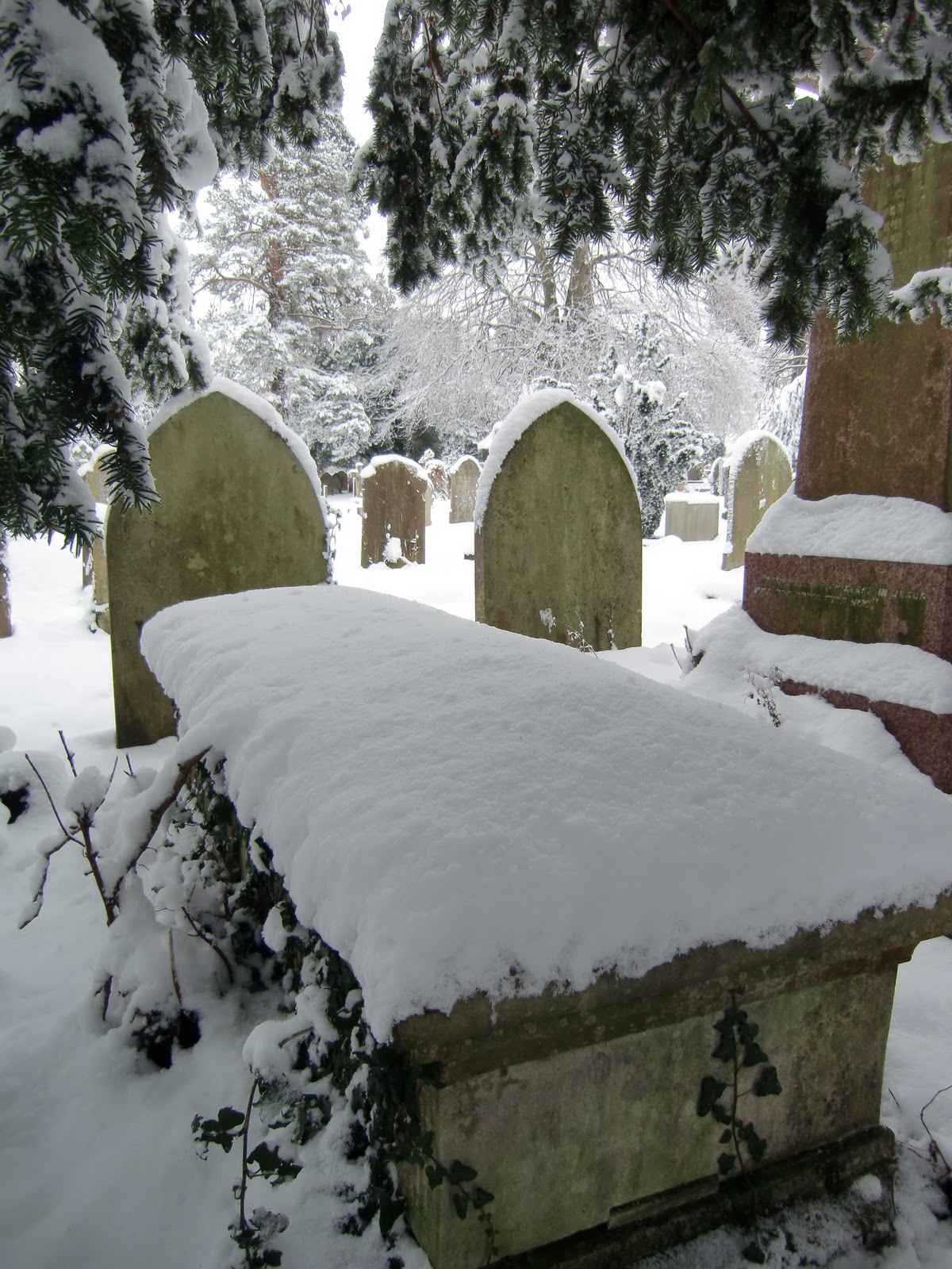 Sleeping Gardens Blanket of Snow