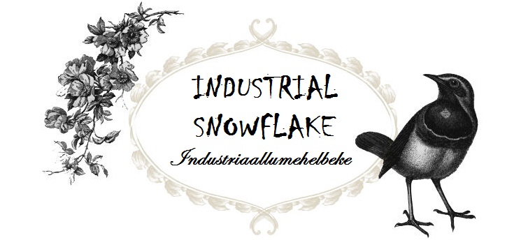 Industrial Snowflake